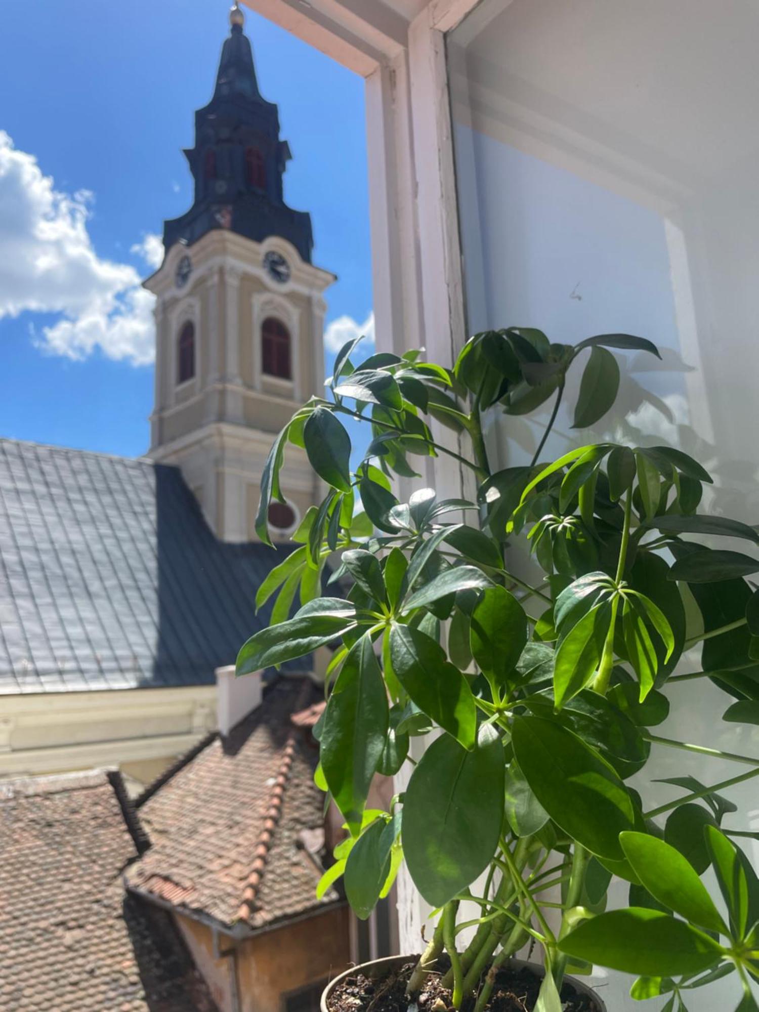Apartament Ultracentral Alecsandri 1 Oradea Bagian luar foto